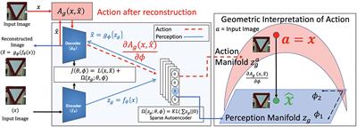 Stochastic surprisal: An inferential measurement of free energy in neural networks